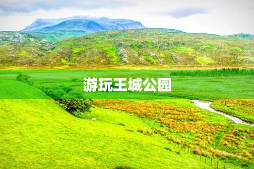 游玩王城公园 游玩王城公园