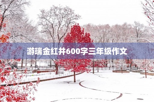 游瑞金红井600字三年级作文 游瑞金红井600字三年级作文
