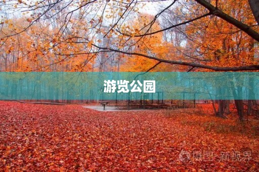 游览公园
