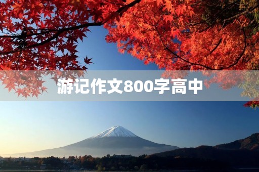 游记作文800字高中 游记作文800字高中