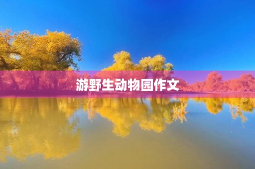 游野生动物园作文