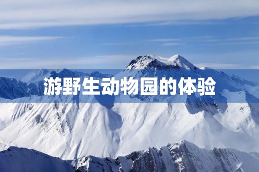 游野生动物园的体验 游野生动物园的体验