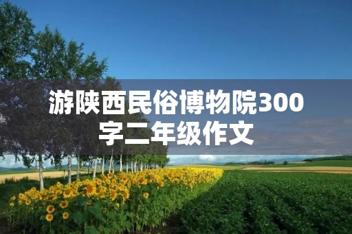 游陕西民俗博物院300字二年级作文 游陕西民俗博物院300字二年级作文
