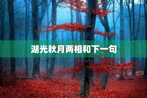 湖光秋月两相和下一句(湖光秋月两相和下一句潭面无风镜未磨) 湖光秋月两相和下一句(湖光秋月两相和下一句潭面无风镜未磨)