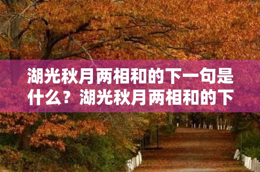 湖光秋月两相和的下一句是什么?湖光秋月两相和的下一句是什么作者是谁 湖光秋月两相和的下一句是什么?湖光秋月两相和的下一句是什么作者是谁