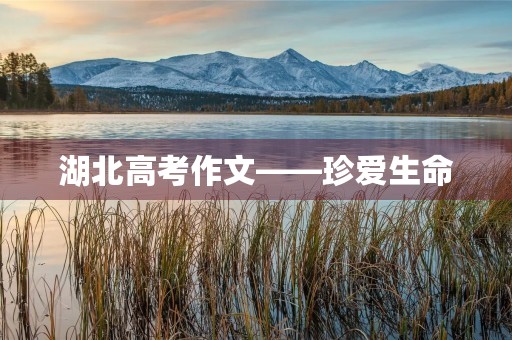 湖北高考作文——珍爱生命，追求梦想