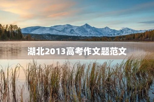 湖北2013高考作文题范文