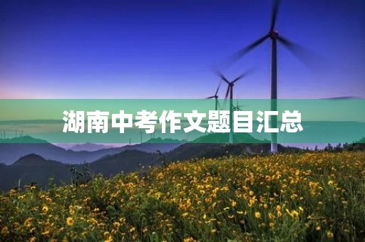 湖南中考作文题目汇总