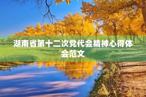湖南省第十二次党代会精神心得体会范文