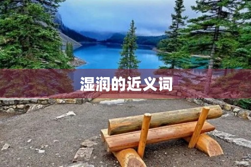 湿润的近义词(湿润的近义词) 湿润的近义词(湿润的近义词)