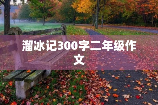 溜冰记300字二年级作文