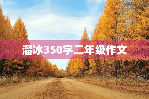 溜冰350字二年级作文