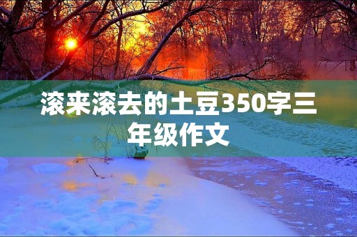 滚来滚去的土豆350字三年级作文