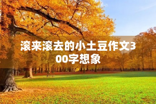 滚来滚去的小土豆作文300字想象