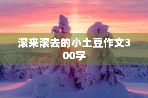 滚来滚去的小土豆作文300字 滚来滚去的小土豆作文300字