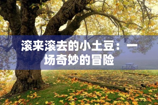 滚来滚去的小土豆：一场奇妙的冒险