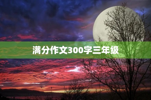满分作文300字三年级 满分作文300字三年级