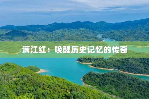 满江红：唤醒历史记忆的传奇