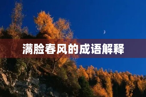 满脸春风的成语解释