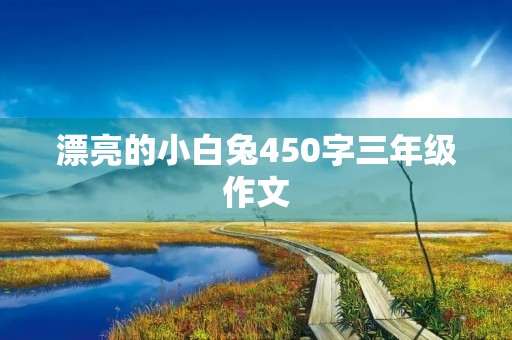 漂亮的小白兔450字三年级作文 漂亮的小白兔450字三年级作文