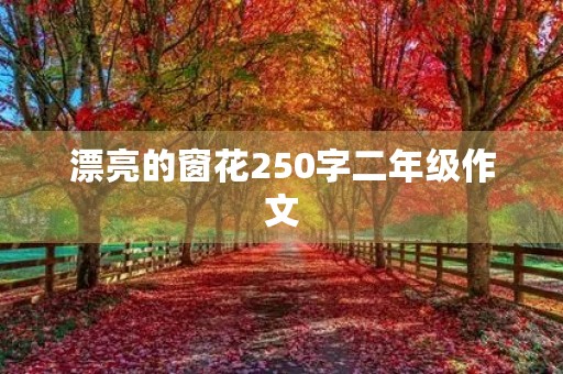 漂亮的窗花250字二年级作文