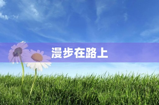 漫步在路上