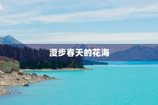 漫步春天的花海