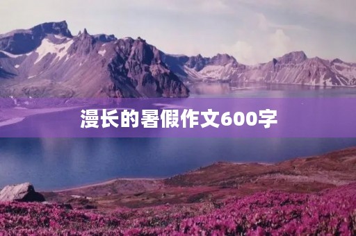 漫长的暑假作文600字