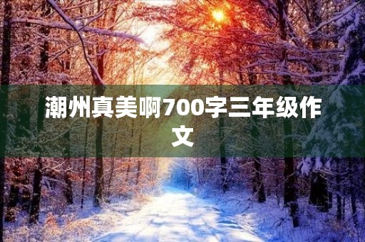 潮州真美啊700字三年级作文