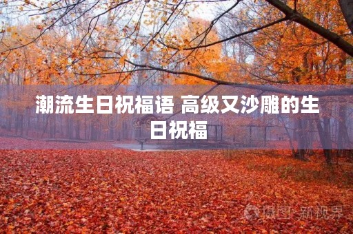 潮流生日祝福语 高级又沙雕的生日祝福 潮流生日祝福语 高级又沙雕的生日祝福