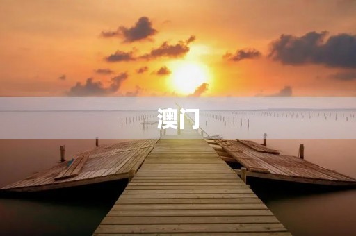 澳门，一朵绽放的莲花450字三年级作文