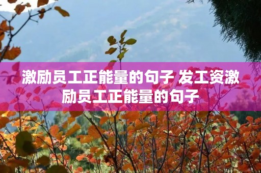 激励员工正能量的句子 发工资激励员工正能量的句子