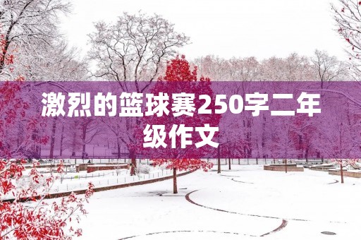 激烈的篮球赛250字二年级作文