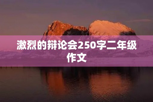 激烈的辩论会250字二年级作文