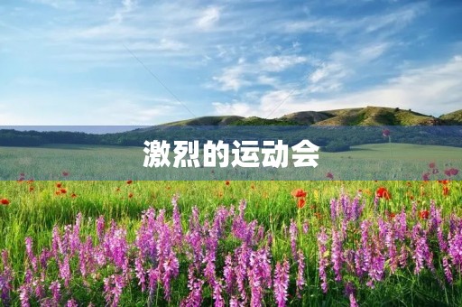 激烈的运动会 激烈的运动会