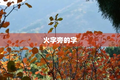 火字旁的字(火字旁的字有哪些)