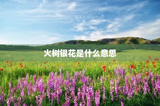 火树银花是什么意思