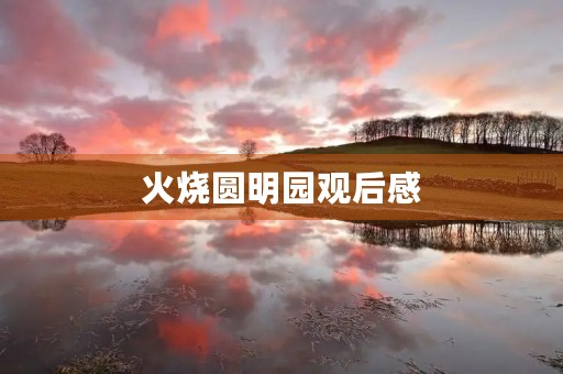 火烧圆明园观后感 火烧圆明园观后感