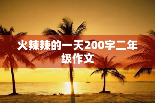 **辣的一天200字二年级作文