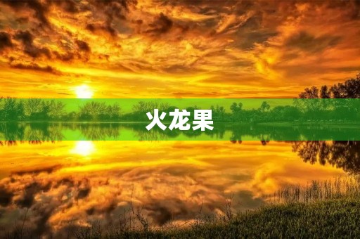 火龙果 火龙果