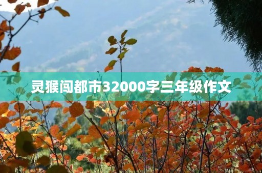灵猴闯都市32000字三年级作文