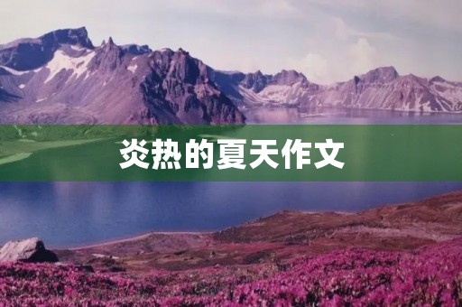炎热的夏天作文