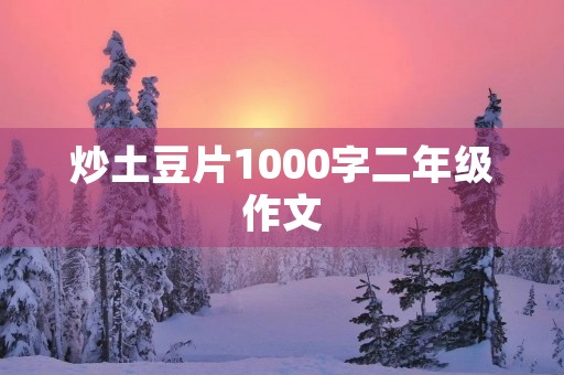 炒土豆片1000字二年级作文