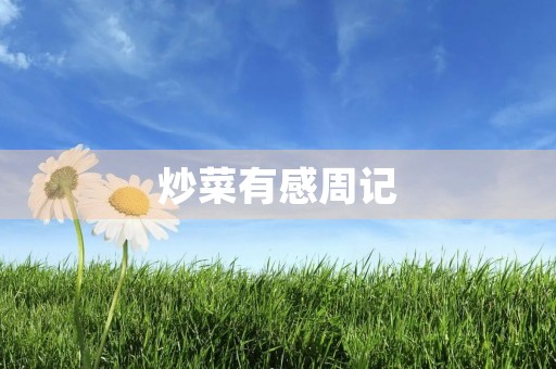 炒菜有感周记 炒菜有感周记