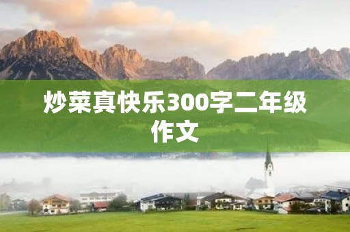 炒菜真快乐300字二年级作文