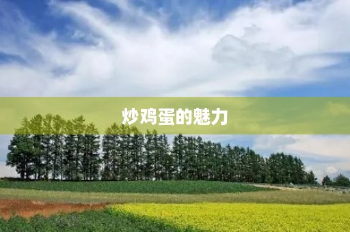 炒鸡蛋的魅力 炒鸡蛋的魅力