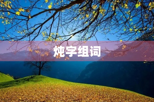 炖字组词(炖组词)