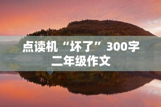 点读机“坏了”300字二年级作文