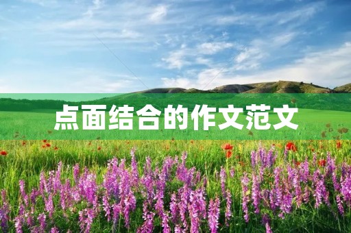 点面结合的作文范文 点面结合的作文范文