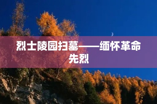 烈士陵园扫墓——缅怀革命先烈